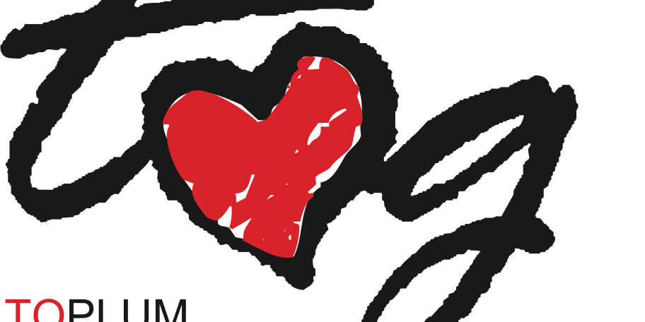 tog-toplum-gonulluleri-vakfi-mentorluk-bulusmasi